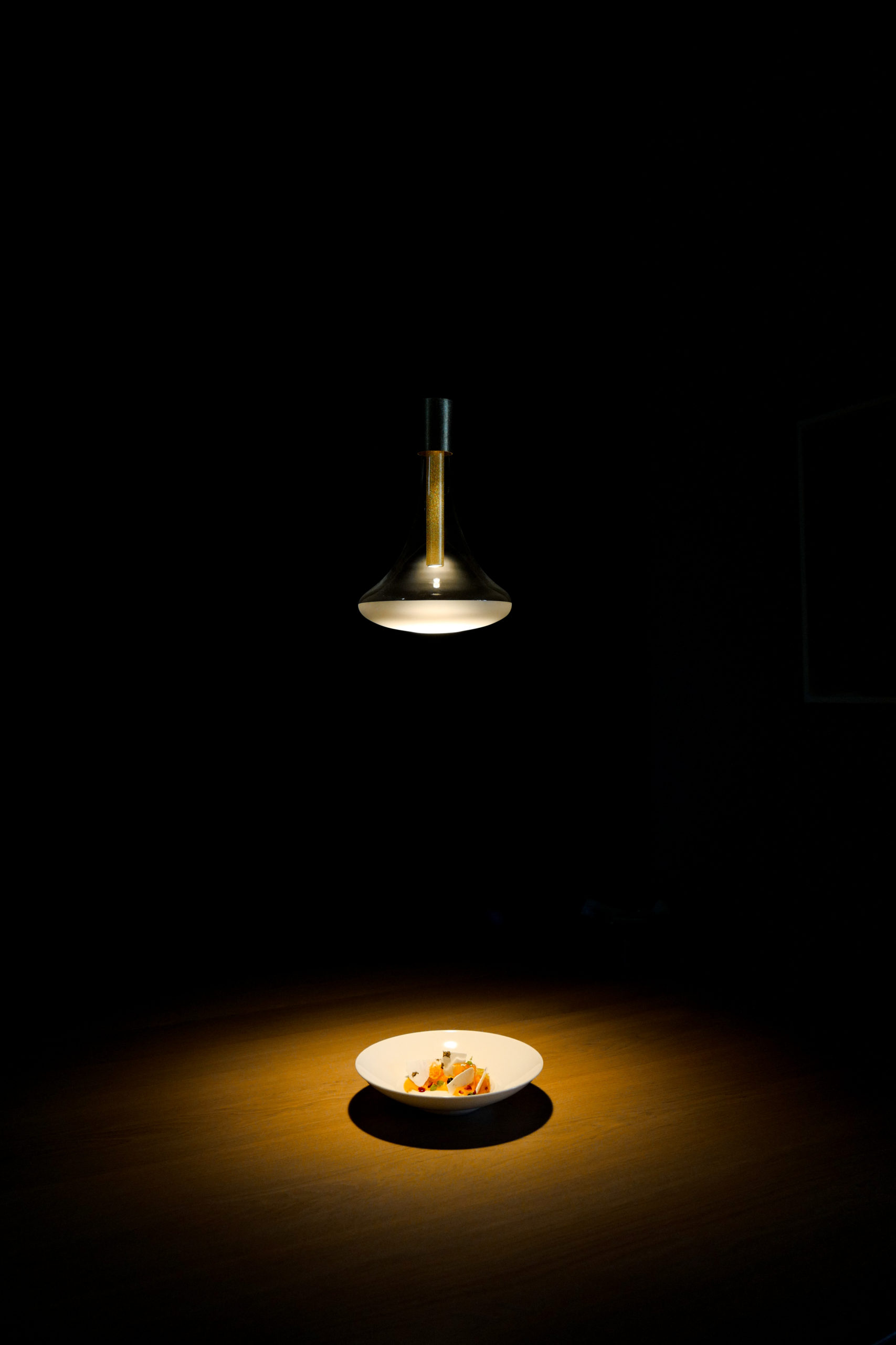 L1210562 copia