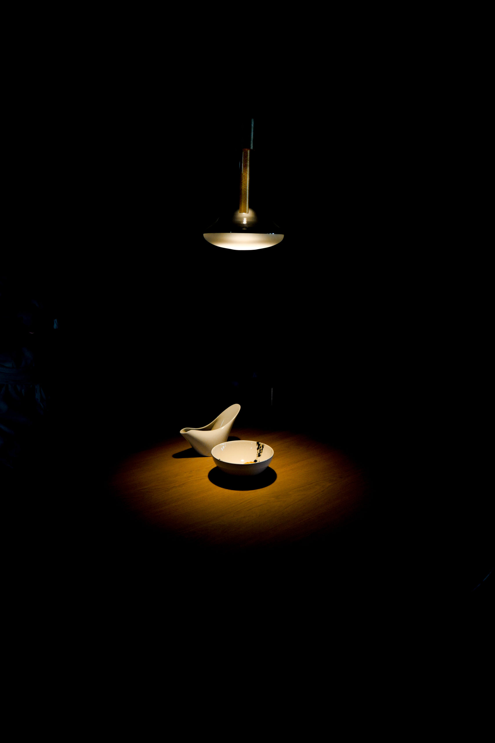 L1210967 copia
